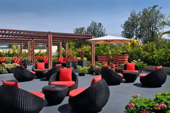 Nyungwe Forest National Park